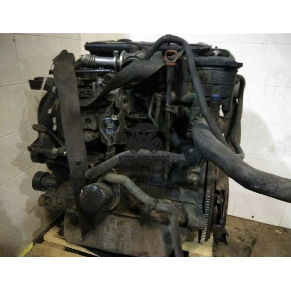 Двс Citroen Berlingo VAN 1.9D (71Hp) (WJY (DW8B);) FWD MT 2002  Цена 42000 