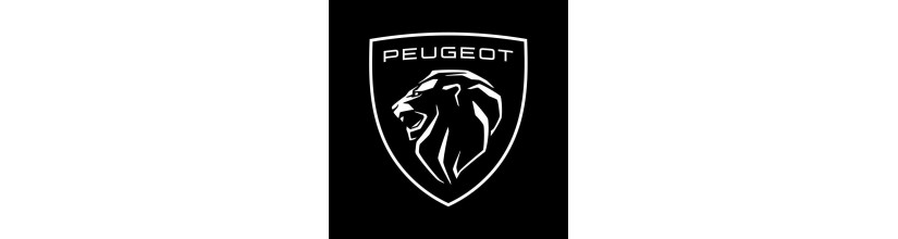 Peugeot Peugeot